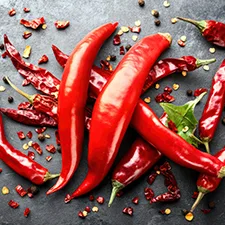 Dry red chillies suppliers