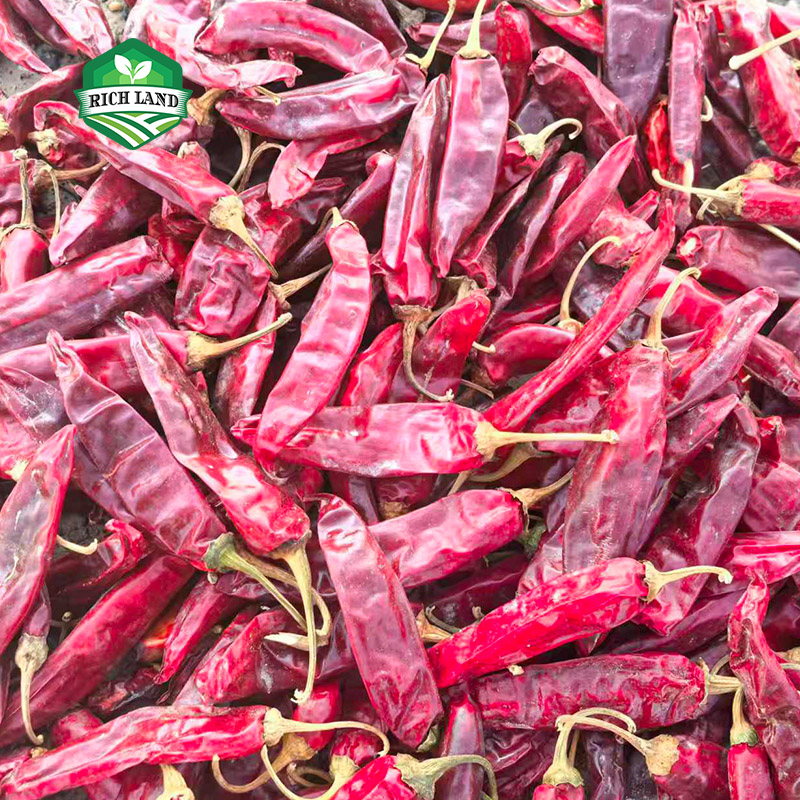 Dry chili suppliers