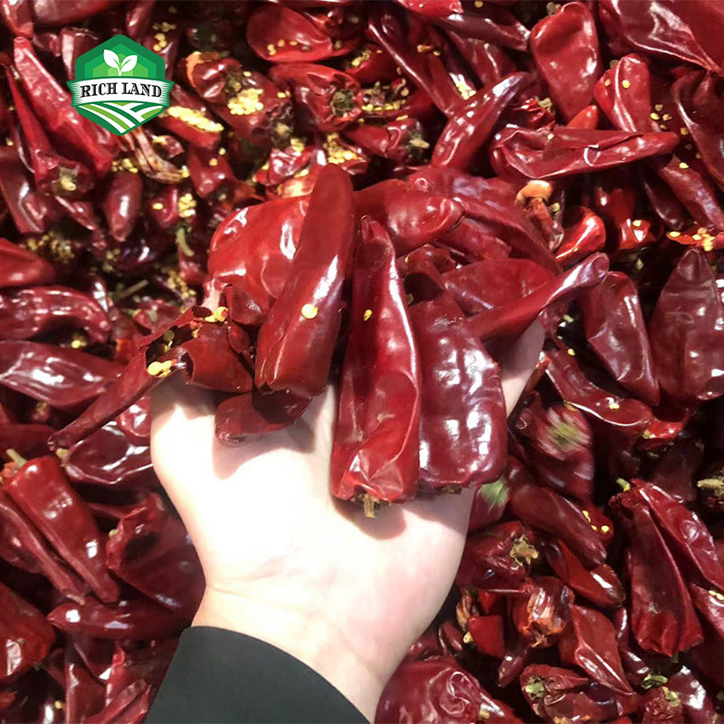 未标题-13 YIDU DRY RED CHILI