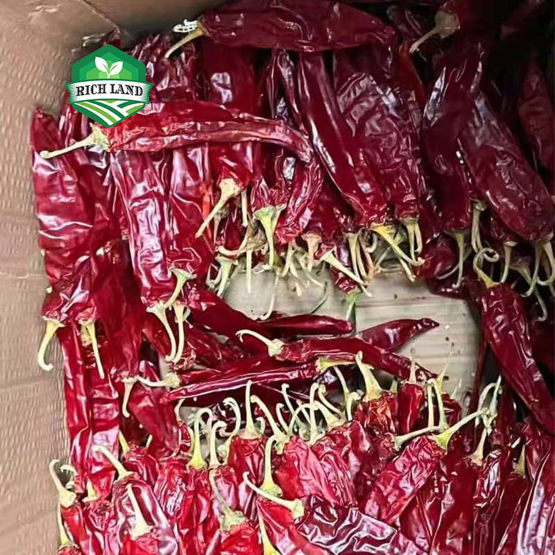 未标题-302 sweet paprika pods