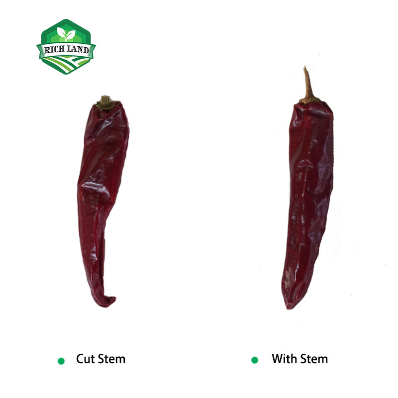 未标题-351 jinta red chilli