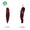 dry red chili wholesaler