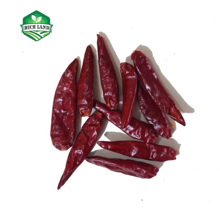 tianjin chili suppliers