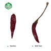 未标题-42 Tianying chili suppliers