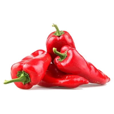 chili supplier china