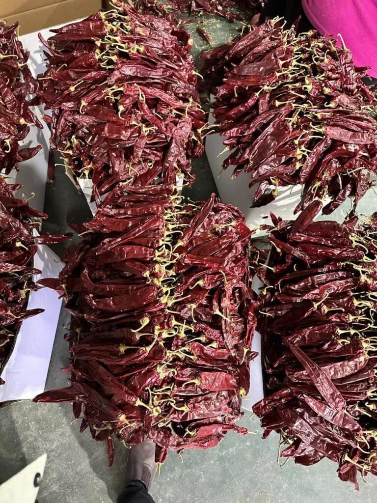 dried chili pepper factory China dried chili pepper factory China