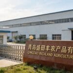 Dried red chili wholesaler factory